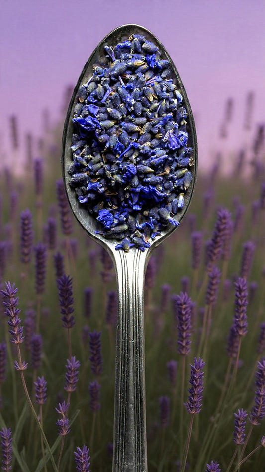 Lavender Delight - Stress & anxiety buster